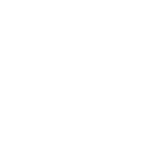 Repsteez
